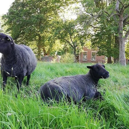 'T Pekelhuis - Vakantiehuisje Op Boerderij Huize Blokland Hem Ngoại thất bức ảnh